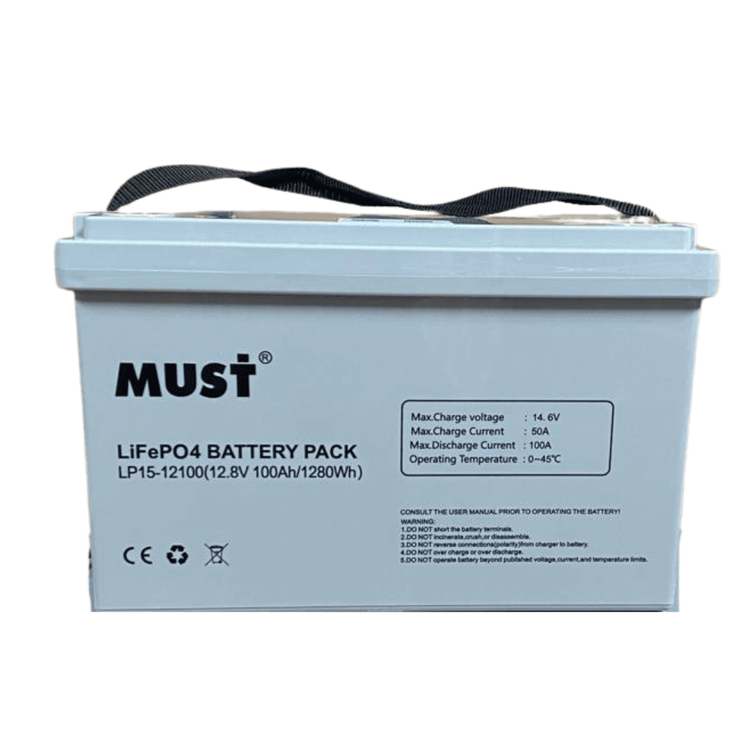 FYTEC - BATERIA LITIO LiFePO4 LFP-12V 100AH